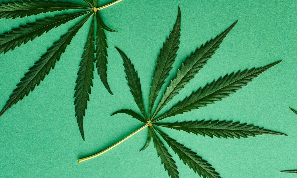 The Implications of Marijuana Reclassification Part 2: The Healthcare Sector 